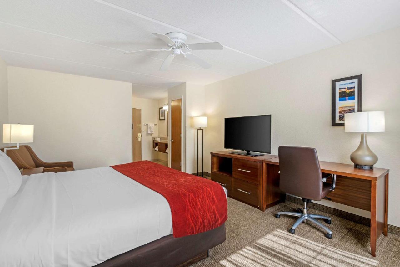 Comfort Inn Kissimmee-Lake Buena Vista South Экстерьер фото